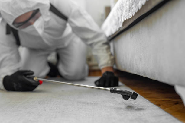 Professional Pest Control technician working in Alma, AR