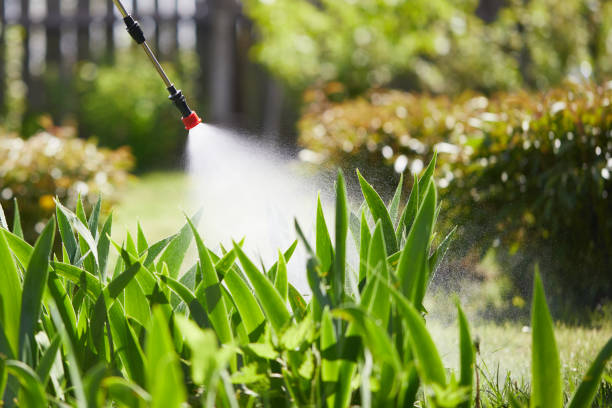 24/7 Emergency Rodent Control experts in Alma, AR