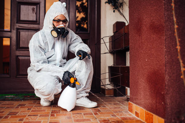 Reliable Rodent Control contractor in Alma, AR by Nex Pest Control