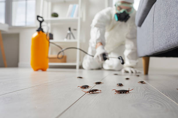 Trusted Cockroach Control service in Alma, AR - Nex Pest Control