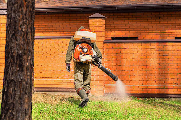 Trusted Termite Control service in Alma, AR - Nex Pest Control